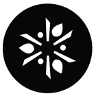 Return to Downtown website