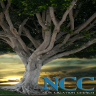 Return to New Creation Church website