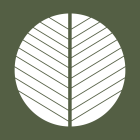 Return to Life Church website